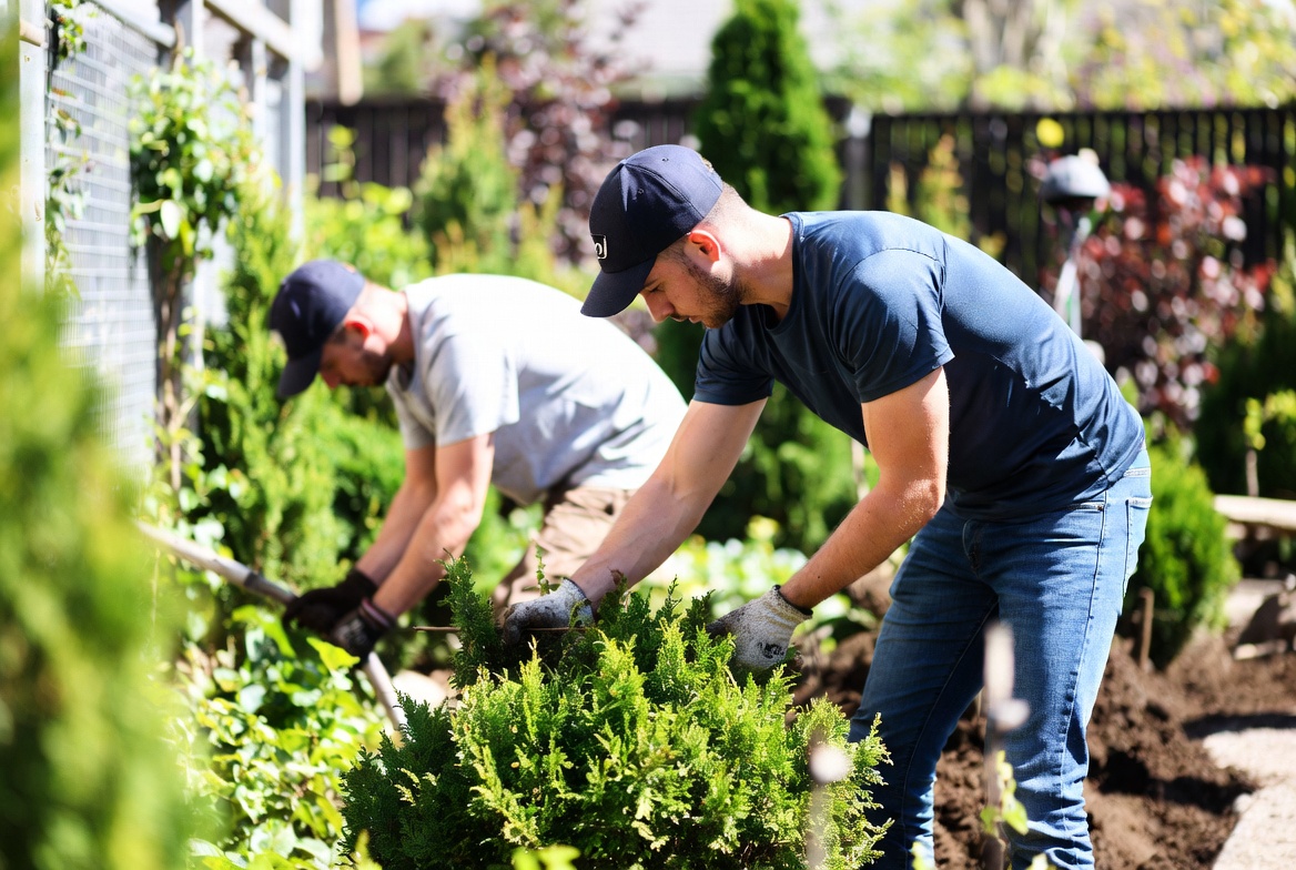 Site ve Bahçe Bakımı
